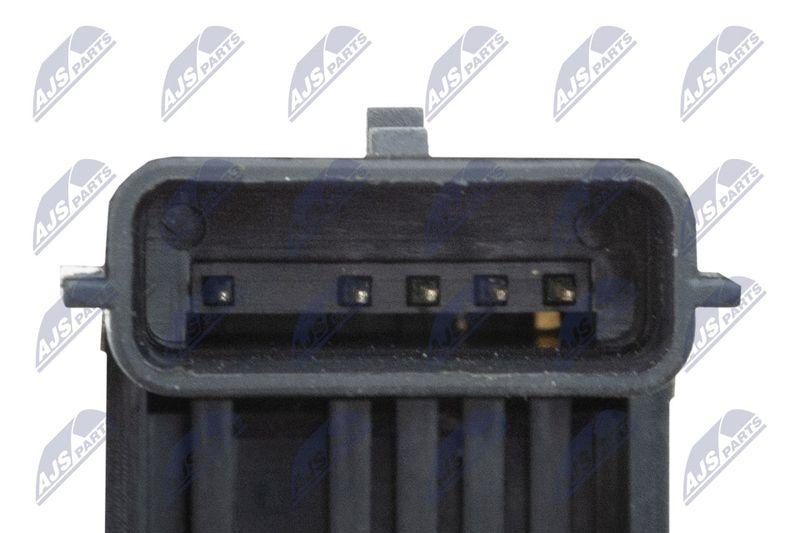 Corps papillon NTY ETB-RE-007