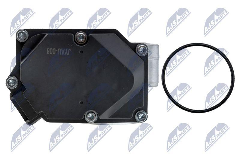 Corps papillon NTY ETB-AU-008