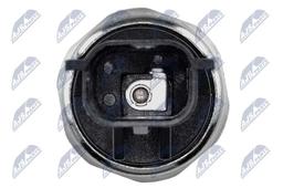 Indicateur de pression d'huile NTY ECC-CH-002