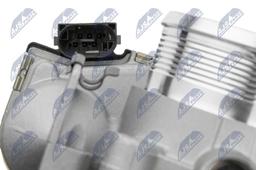 Corps papillon NTY ETB-VV-001