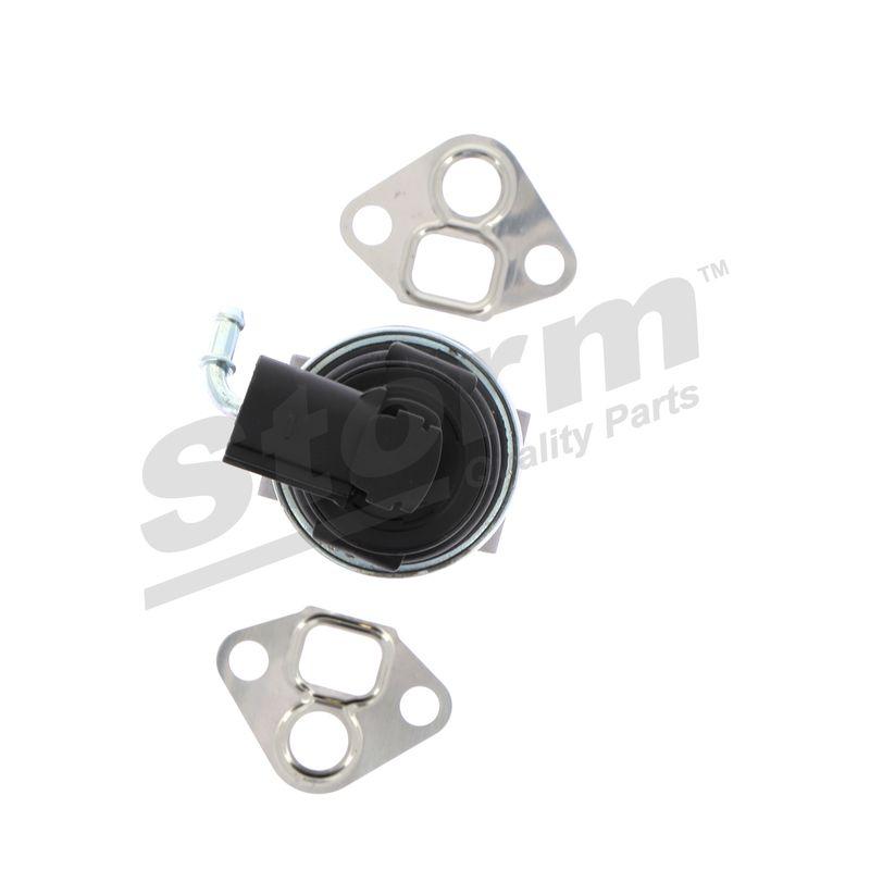 Vanne EGR STORM QUALITY PARTS 9039