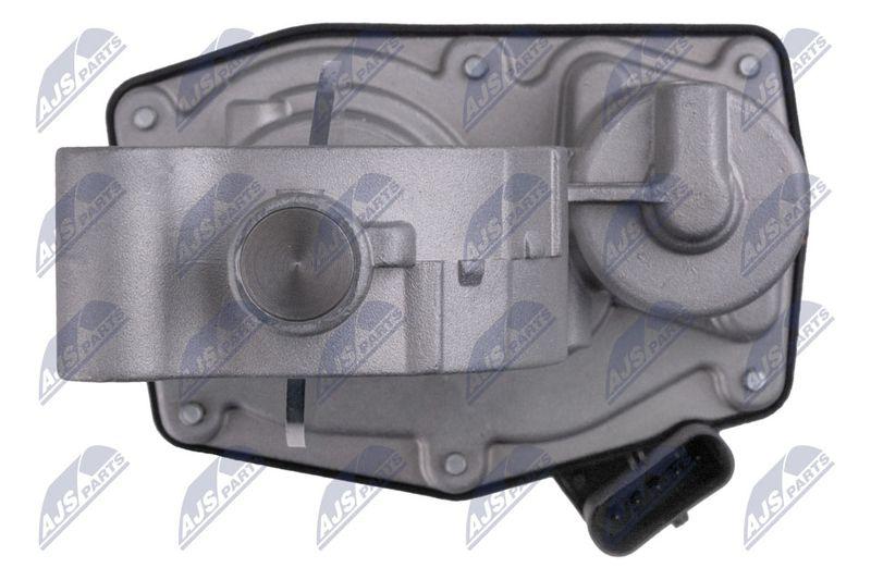 Corps papillon NTY ETB-BM-019