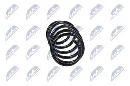 Ressort de suspension NTY ASZ-FR-057