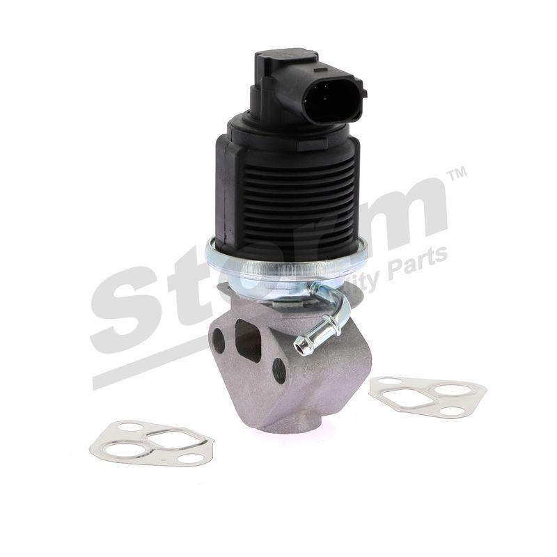 Vanne EGR STORM QUALITY PARTS 9039