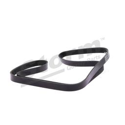 Courroie trapézoïdale à nervures STORM QUALITY PARTS STO6PK1840