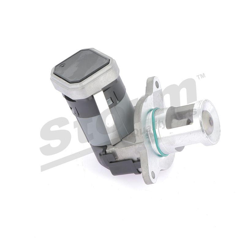 Vanne EGR STORM QUALITY PARTS 9031