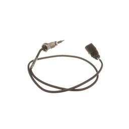 Capteur, température des gaz DELPHI TS30020