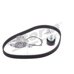 Pompe à eau + kit de courroie crantée STORM QUALITY PARTS 5550579KP