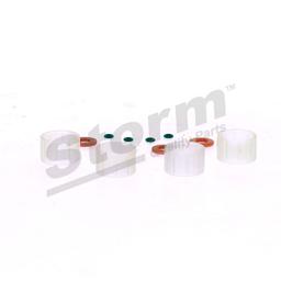Kit de joints, injecteur STORM QUALITY PARTS STO460003