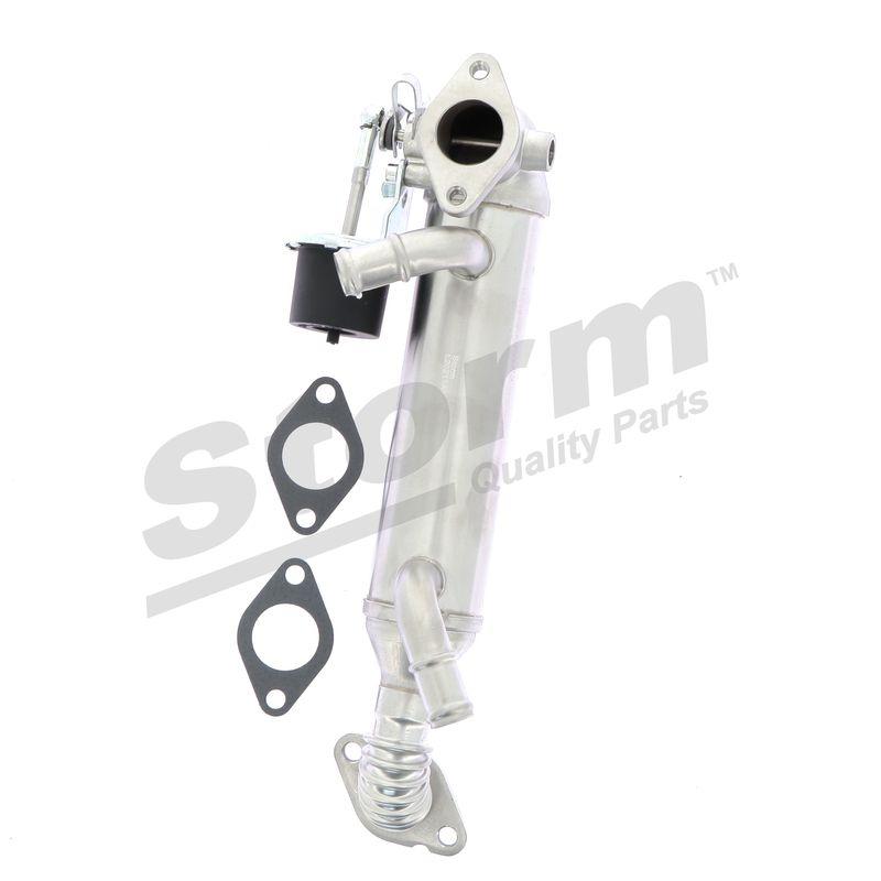 Vanne EGR STORM QUALITY PARTS 9041