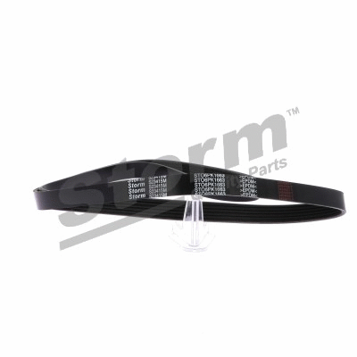 Courroie trapézoïdale à nervures STORM QUALITY PARTS STO6PK1663