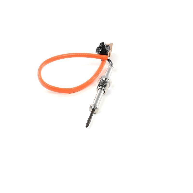 Capteur, température des gaz DELPHI TS30116-12B1