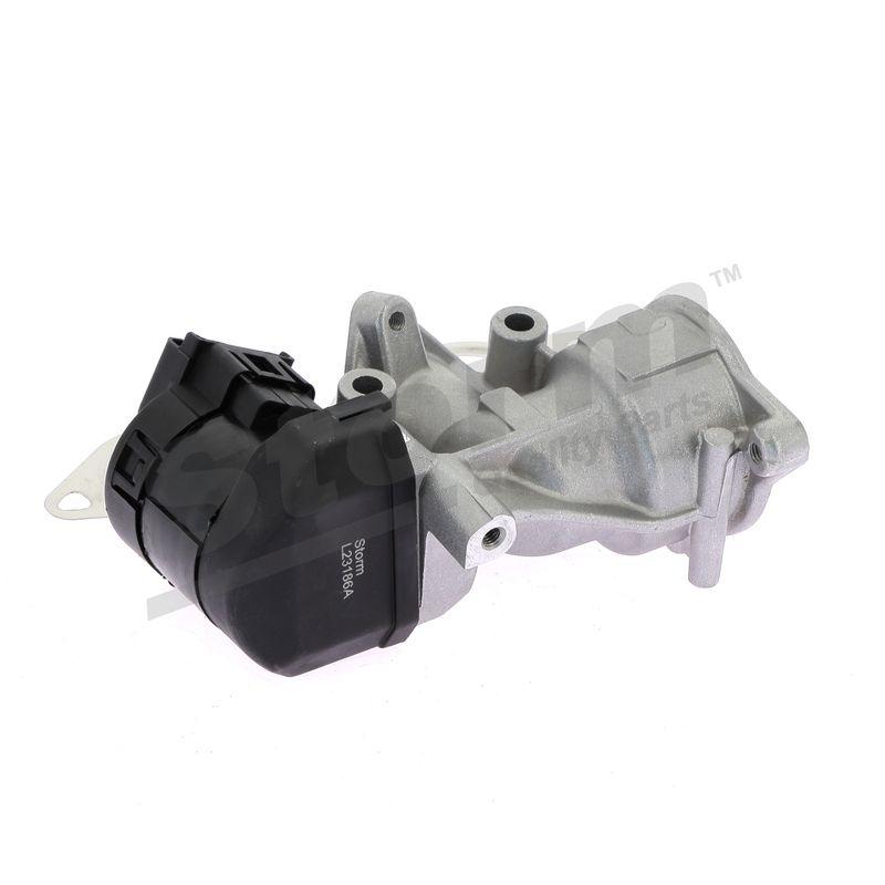 Vanne EGR STORM QUALITY PARTS 9029