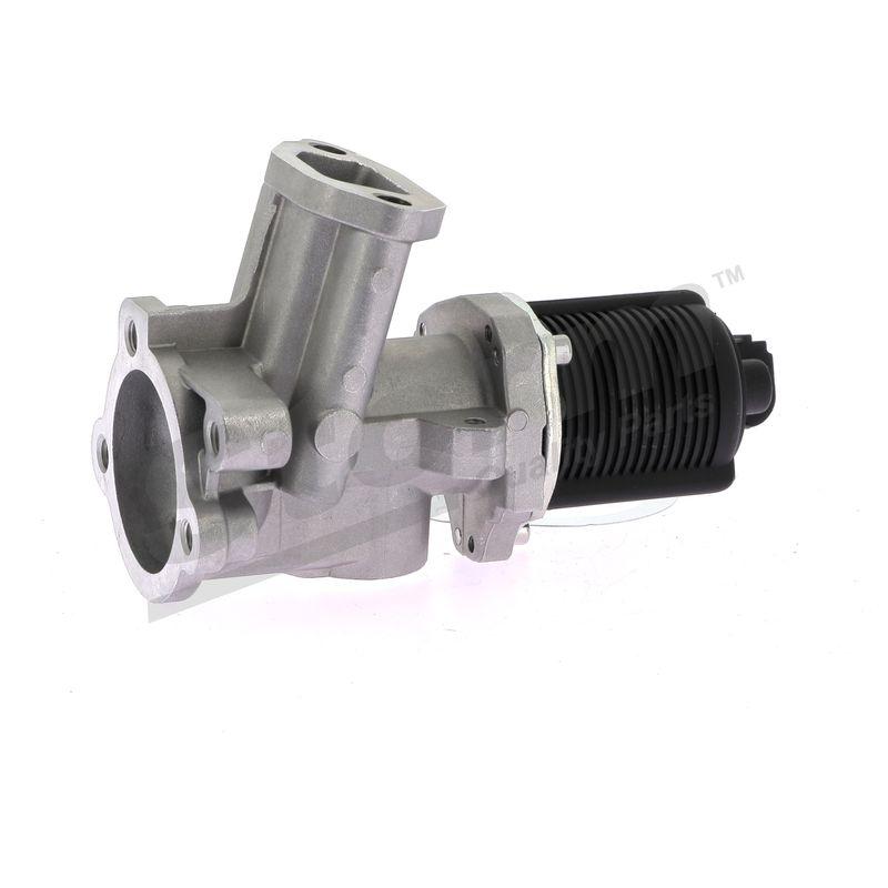 Vanne EGR STORM QUALITY PARTS 9004