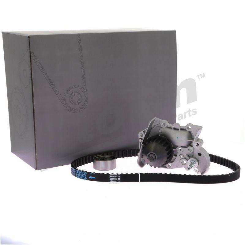 Pompe à eau + kit de courroie crantée STORM QUALITY PARTS 5550057KP