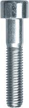 Vis cylindrique RESTAGRAF 900