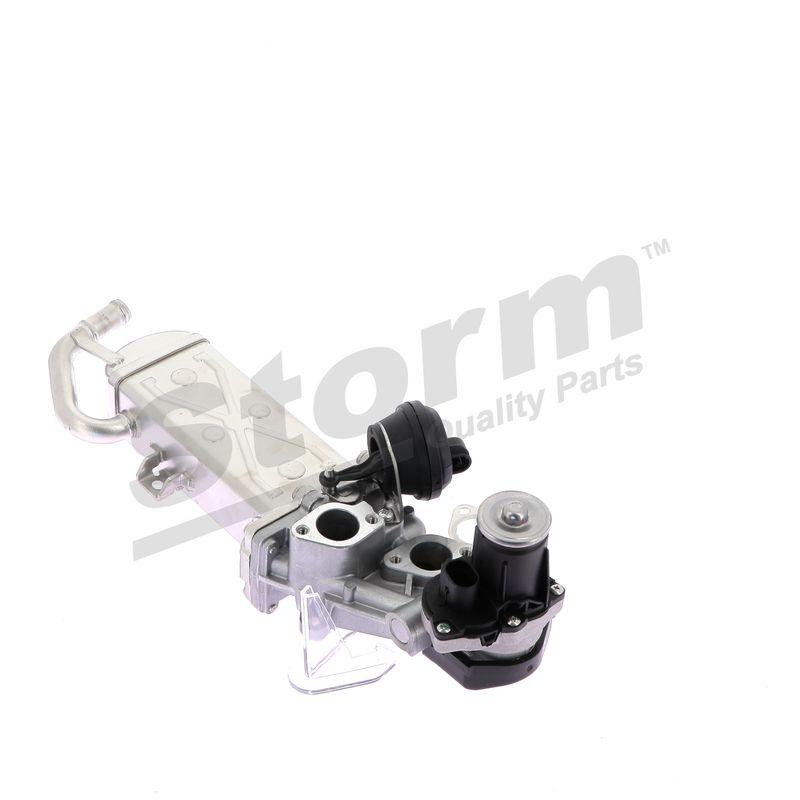 Vanne EGR STORM QUALITY PARTS 9036