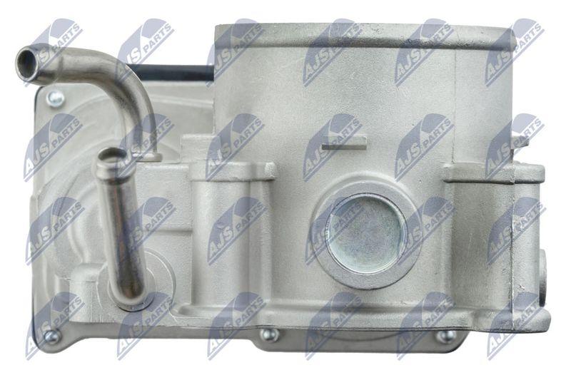 Corps papillon NTY ETB-HY-003