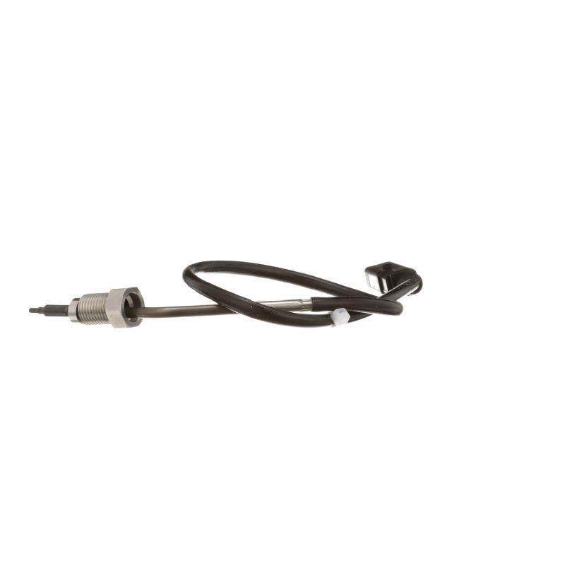 Capteur, température des gaz DELPHI TS30084