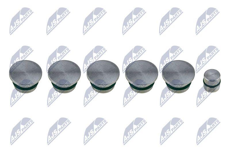 Module de tube d'admission NTY BKS-FT-009