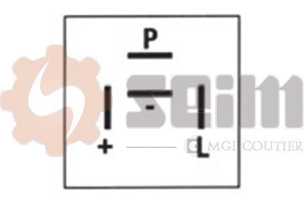 Centrale clignotante SEIM 105321
