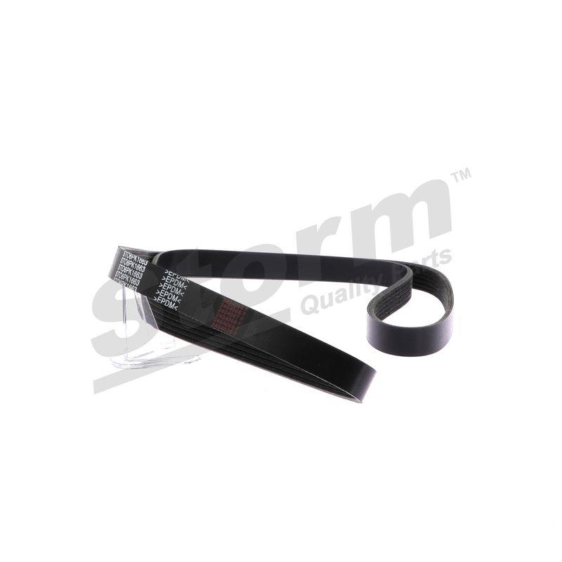 Courroie trapézoïdale à nervures STORM QUALITY PARTS STO6PK1663