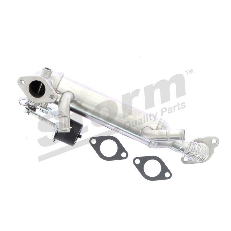 Vanne EGR STORM QUALITY PARTS 9041