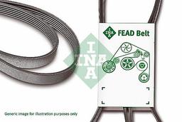 Courroie trapézoïdale à nervures Schaeffler INA FB 6PK905