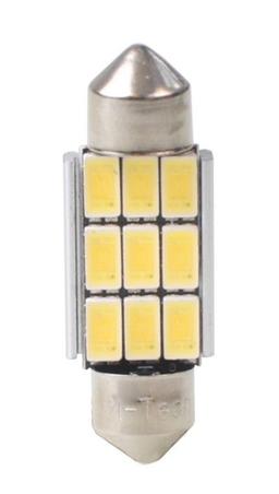 Ampoule, feu éclaireur de plaque M-Tech LB815WW
