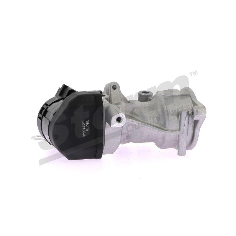 Vanne EGR STORM QUALITY PARTS 9029