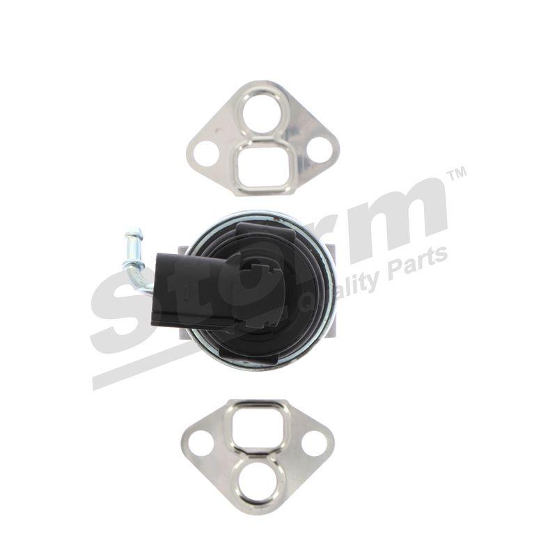 Vanne EGR STORM QUALITY PARTS 9039