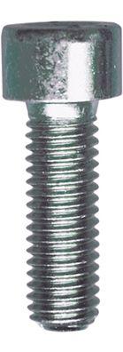 Vis cylindrique RESTAGRAF 892