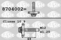 Vis de poulie SASIC 8704002