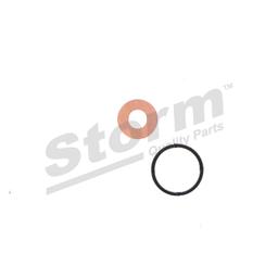 Kit de joints, injecteur STORM QUALITY PARTS 460020