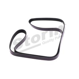 Courroie trapézoïdale à nervures STORM QUALITY PARTS STO6PK1840