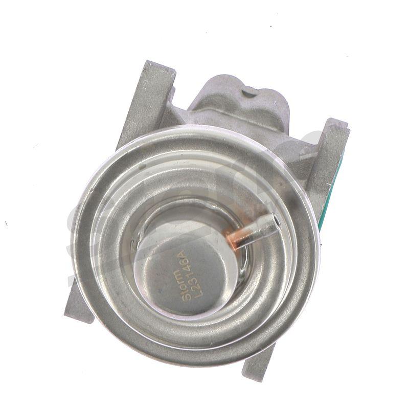 Vanne EGR STORM QUALITY PARTS 9028