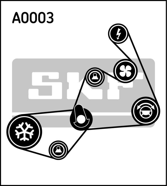 Jeu de courroies trapézoïdales à nervures SKF VKMA 31020