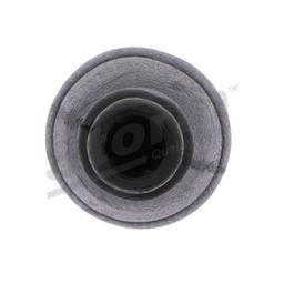 Pommeau STORM QUALITY PARTS 2903002