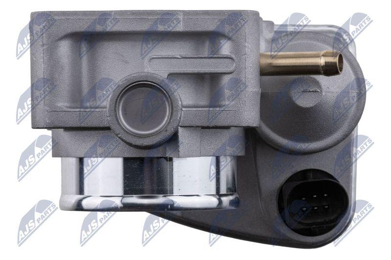 Corps papillon NTY ETB-BM-013