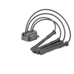 Bobine d'allumage DELPHI CE20017