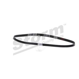 Courroie trapézoïdale à nervures STORM QUALITY PARTS STO3PK0738
