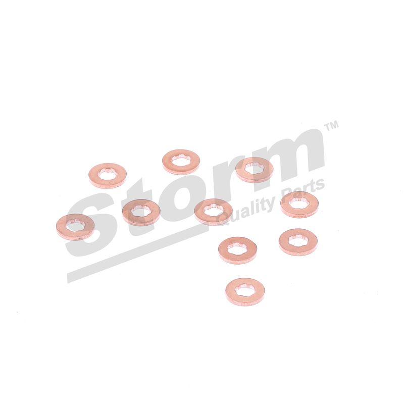 Bague d'étanchéité, porte-injecteur STORM QUALITY PARTS 460015