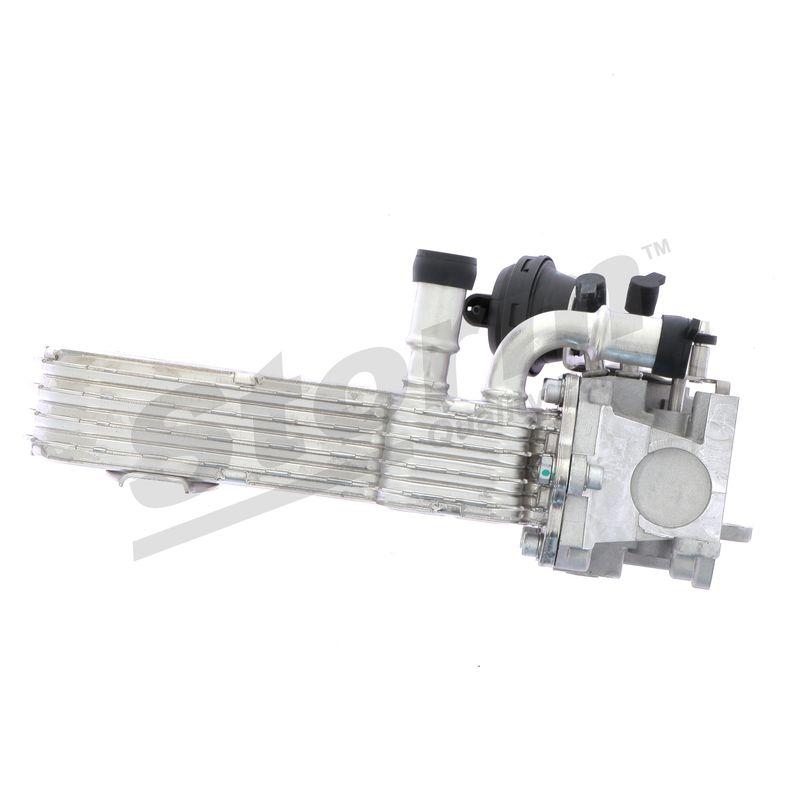 Radiateur, réaspiration des gaz d'échappement STORM QUALITY PARTS 90960