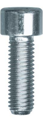 Vis cylindrique RESTAGRAF 898