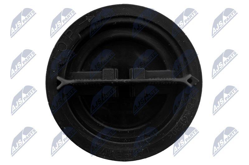 Douille de lampe, projecteur principal NTY EZC-PL-078