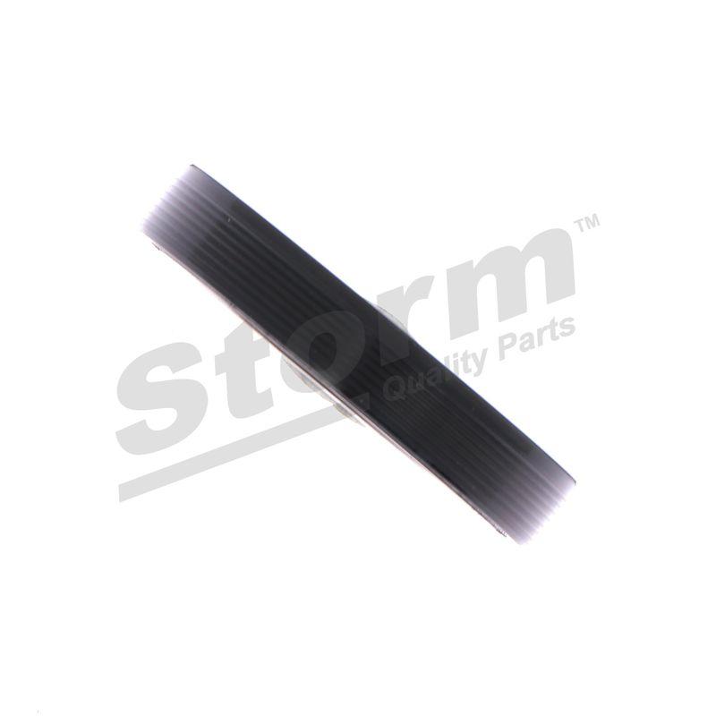 Bague d'étanchéité, différentiel STORM QUALITY PARTS 99920