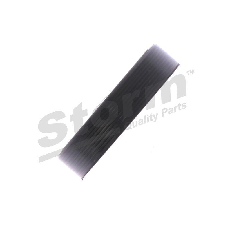 Bague d'étanchéité, différentiel STORM QUALITY PARTS 99919